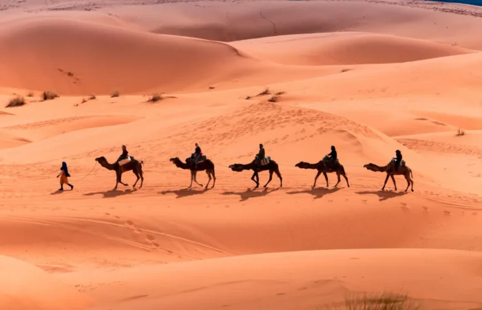 4 Days Marrakech to Fes Desert Tour