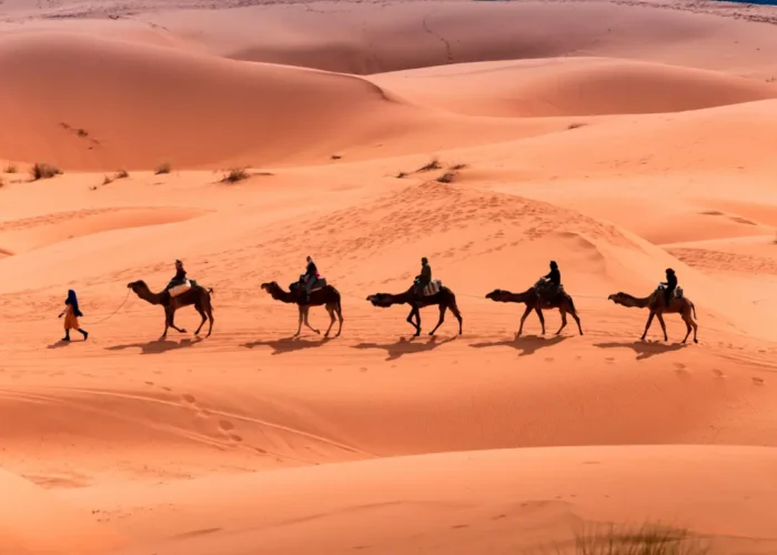 4 Days Marrakech to Fes Desert Tour