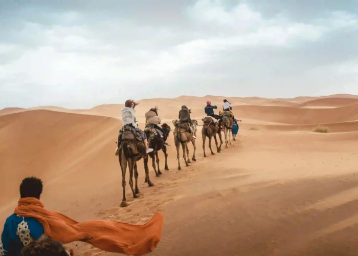 5 Days Casablanca To Fes Desert Tour