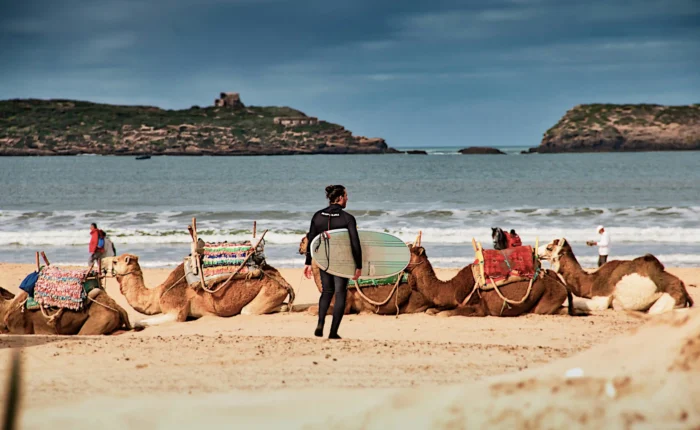 Marrakech to Essaouira 1 Day Trip